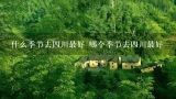 什么季节去四川最好 哪个季节去四川最好,四川旅游最佳季节