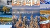 长相潦草的大熊猫叫什么名字,2020成都大熊猫叫什么名字啊？