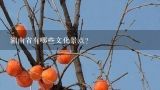 湖南省有哪些文化景点?