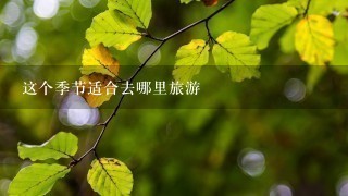 这个季节适合去哪里旅游