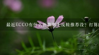 最近ECCO有什么新款男士皮鞋推荐没？打算给男友买双正装鞋上班穿，配西装。