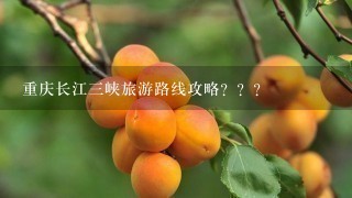 重庆长江3峡旅游路线攻略？？？