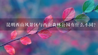 昆明西山风景区与西山森林公园有什么不同？