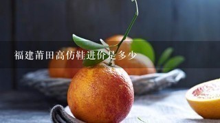 福建莆田高仿鞋进价是多少