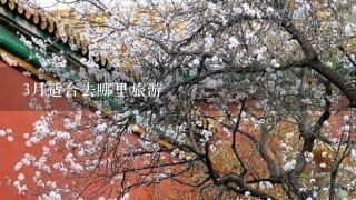 3月适合去哪里旅游