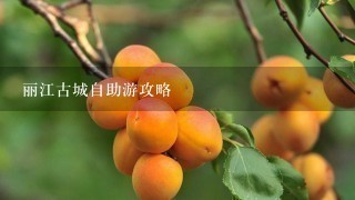 丽江古城自助游攻略