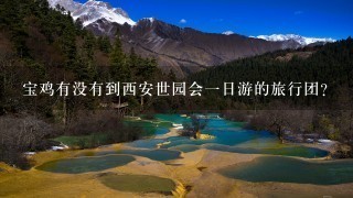 宝鸡有没有到西安世园会1日游的旅行团？