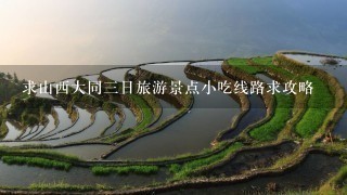 求山西大同3日旅游景点小吃线路求攻略