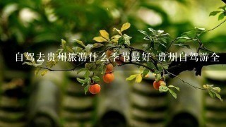 自驾去贵州旅游什么季节最好 贵州自驾游全