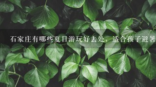 石家庄有哪些夏日游玩好去处，适合孩子避暑？