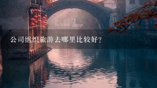 公司组织旅游去哪里比较好？