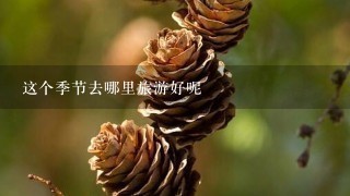 这个季节去哪里旅游好呢