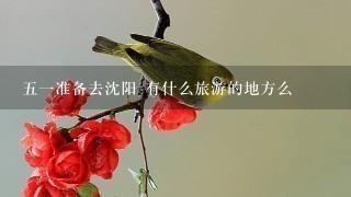 51准备去沈阳 有什么旅游的地方么