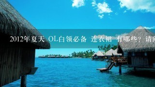 2012年夏天 OL白领必备 连衣裙 有哪些？请问哪里衣服质量最好，款式最多价格少。