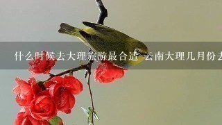 什么时候去大理旅游最合适 云南大理几月份去合适