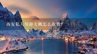 西安私人导游大概怎么收费？