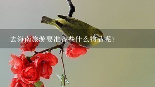 去海南旅游要准备些什么物品呢？