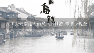 报团去云南昆大丽双飞6日游,带多少现金