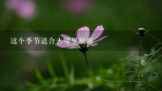 这个季节适合去哪里旅游