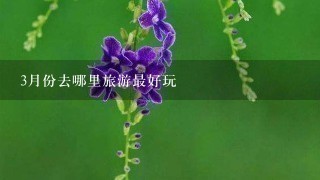 3月份去哪里旅游最好玩