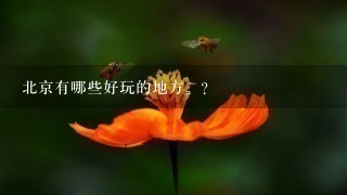 北京有哪些好玩的地方。？