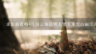 求旅游攻略4月份云南昆明大理玉龙雪山丽江6日游