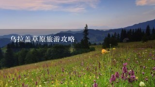 乌拉盖草原旅游攻略