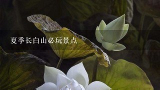 夏季长白山必玩景点