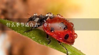 什么季节适合去3亚？