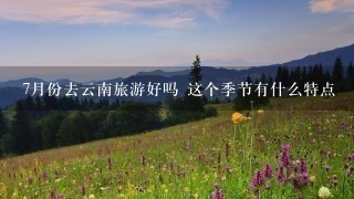 7月份去云南旅游好吗 这个季节有什么特点