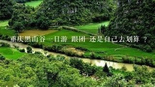 重庆黑山谷1日游 跟团 还是自己去划算 ？ 具体收费和项目透露1下 急 ！！！！