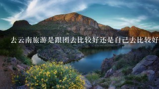 去云南旅游是跟团去比较好还是自己去比较好