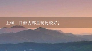 上海1日游去哪里玩比较好?