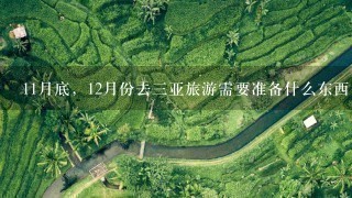 11月底，12月份去3亚旅游需要准备什么东西，需要注意什么？