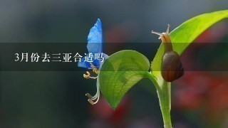 3月份去3亚合适吗