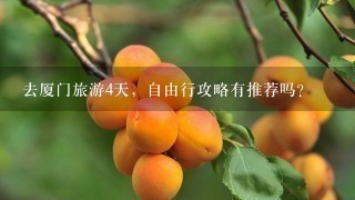 去厦门旅游4天，自由行攻略有推荐吗？