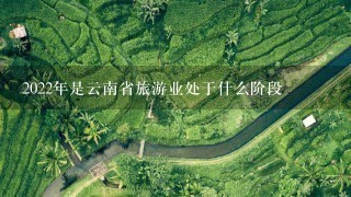 2022年是云南省旅游业处于什么阶段
