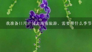 我准备11月上旬去海南旅游，需要带什么季节的衣服?和什么物品?需要注意些什么?