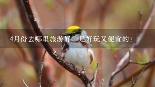 4月份去哪里旅游好，是好玩又便宜的？