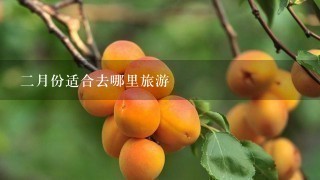 2月份适合去哪里旅游