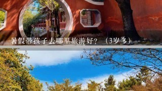 暑假带孩子去哪里旅游好？（3岁多）