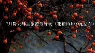 7月份去哪里旅游最好玩（花销约1000元左右）？