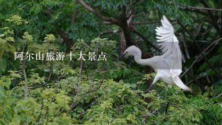 阿尔山旅游十大景点