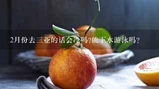 2月份去3亚的话会冷吗?能下水游泳吗？