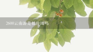 2600云南游是低价团吗