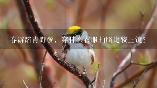 春游踏青野餐，穿什么衣服拍照比较上镜？