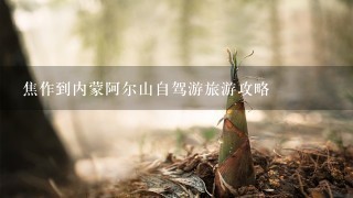 焦作到内蒙阿尔山自驾游旅游攻略