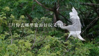 3月份去哪里旅游好玩又便宜