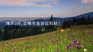 现在3月,去哪里旅游比较好?