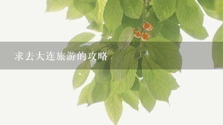 求去大连旅游的攻略